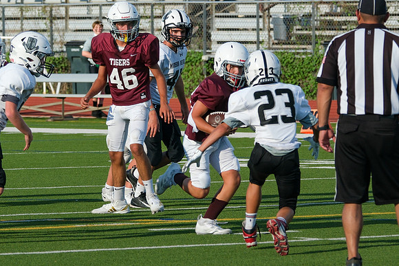 DSCF1756