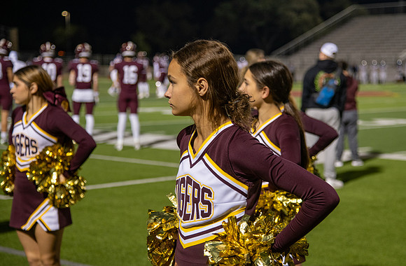_DSC7203