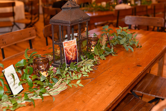 DSC_7377