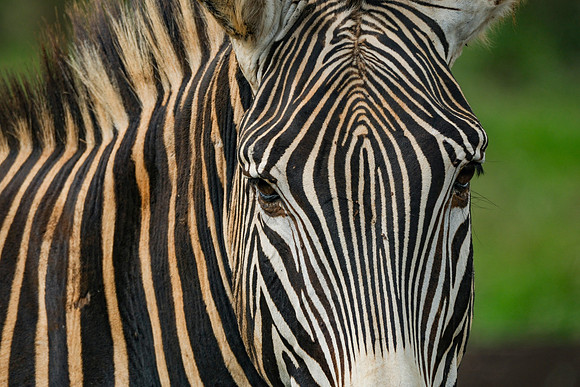 DSCF5543-2