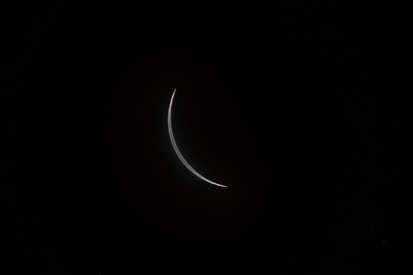 _DSC9728