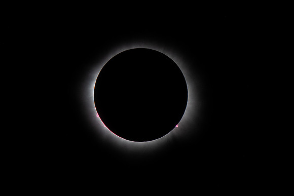 _DSC9739