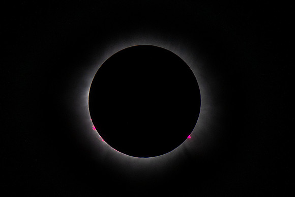 _DSC9746