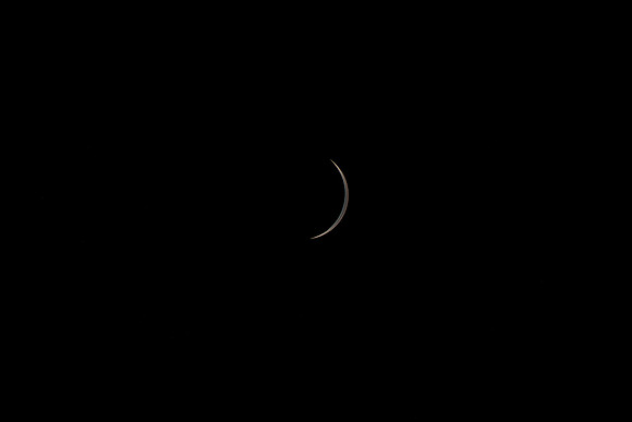 _DSC9774
