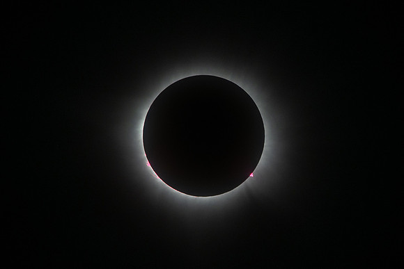_DSC9742