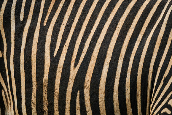 DSCF5548