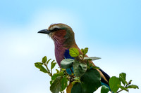 DSCF4501