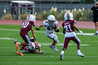 DSCF1363